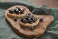 Organic chocolate hazelnut spread with fresh blueberries on ciabatta slices on wood board