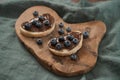 Organic chocolate hazelnut spread with fresh blueberries on ciabatta slices on wood board