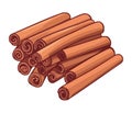 Organic cinnamon spices for gourmet cooking