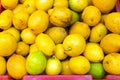 Organic citrons from Portugal Royalty Free Stock Photo