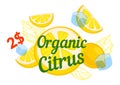 Organic citrus beverage, lemonade promo banner