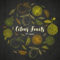 Organic citrus fruit banners. Engraving sketch vintage style. Great healthy food design template with fruits on Royalty Free Stock Photo