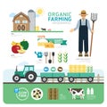 Organic Clean Foods Good Health Template Design Infographic.