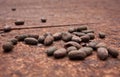 Organic Cocoa beans in little cocoa farm in Costarica jungle Royalty Free Stock Photo