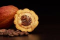 Organic cocoa fruit