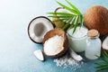 Organic coconut products for spa, cosmetic or food ingredients decorated palm leaves. Natural oil, water and shavings. Royalty Free Stock Photo