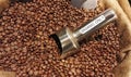 Organic coffee beans