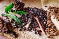 Organic coffee beans