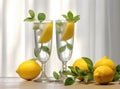 Organic cold refreshing lemonade drink or cocktail made of sparkling water, lime slices and fresh green mint leaves Royalty Free Stock Photo