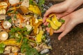 organic compost - biodegradable kitchen waste and soil