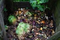 Organic composting biodegradable waste pile, vegetable, fruits bio