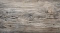 Organic Contours: Weathered Wood Surface Closeup