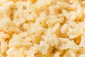 Organic Cooked Short Grain Brown Rice Royalty Free Stock Photo