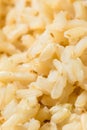 Organic Cooked Short Grain Brown Rice Royalty Free Stock Photo
