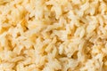 Organic Cooked Short Grain Brown Rice Royalty Free Stock Photo