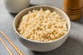 Organic Cooked Short Grain Brown Rice Royalty Free Stock Photo