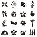 Organic cooking icons Royalty Free Stock Photo
