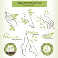 Organic Cosmetics Design Set with contoured female body parts - foot, hand Royalty Free Stock Photo