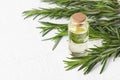 Organic cosmetics with extracts of herbs rosemary