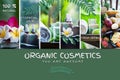 Organic cosmetics, natural fruit oils. Photo and illustration, cartoon style. Concept spa, skin care,
