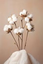 Organic cotton agriculture plant nature white flowers background