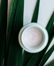 Organic creams lotions for the face