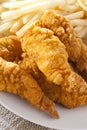 Organic Crispy Chicken Strips Royalty Free Stock Photo