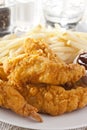 Organic Crispy Chicken Strips Royalty Free Stock Photo