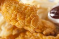 Organic Crispy Chicken Strips Royalty Free Stock Photo