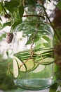 Organic Cucumber Water