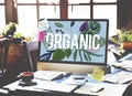 Organic Cultivation Fresh Growth Natural Health Concept Royalty Free Stock Photo