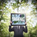 Organic Cultivation Fresh Growth Natural Health Concept Royalty Free Stock Photo