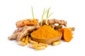 Organic curcumin or turmeric powder, capsule, and fresh root on white background Royalty Free Stock Photo