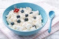 Organic curd cheese, farmer`s cheese or cottage cheese in blue bowl.