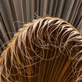 Organic curves of the palm leaf contrasting with the sharper Royalty Free Stock Photo