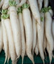 Organic Daikon Radishes Royalty Free Stock Photo