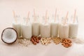 Organic dairy-free milk