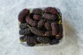 Organic Dark Black Ripe Mulberries in Plastic Box Package for Sale / Morus Fruit