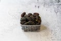 Organic Dark Black Ripe Mulberries in Plastic Box Package for Sale / Morus Fruit