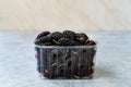 Organic Dark Black Ripe Mulberries in Plastic Box Package for Sale / Morus Fruit