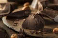 Organic Dark Chocolate Chunks Royalty Free Stock Photo