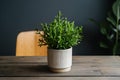 Organic decor indoor plant adds freshness to wooden table setting