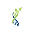 Organic DNA Logo, DNA Logo design, Leaf logo, Dna with leaf, DNA Logo Vector,