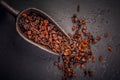 Organic dried berberis and scoop on black blackground Royalty Free Stock Photo