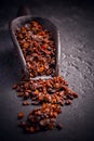Organic dried berberis and scoop on black blackground Royalty Free Stock Photo