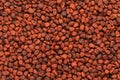 Organic dry Annatto (Bixa orellana) seeds. Royalty Free Stock Photo