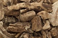 Organic dry barks of Indian Jalap (Operculina turpethum).