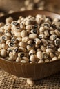 Organic Dry Black Eyed Peas Royalty Free Stock Photo