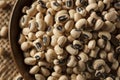 Organic Dry Black Eyed Peas Royalty Free Stock Photo