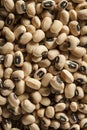 Organic Dry Black Eyed Peas Royalty Free Stock Photo